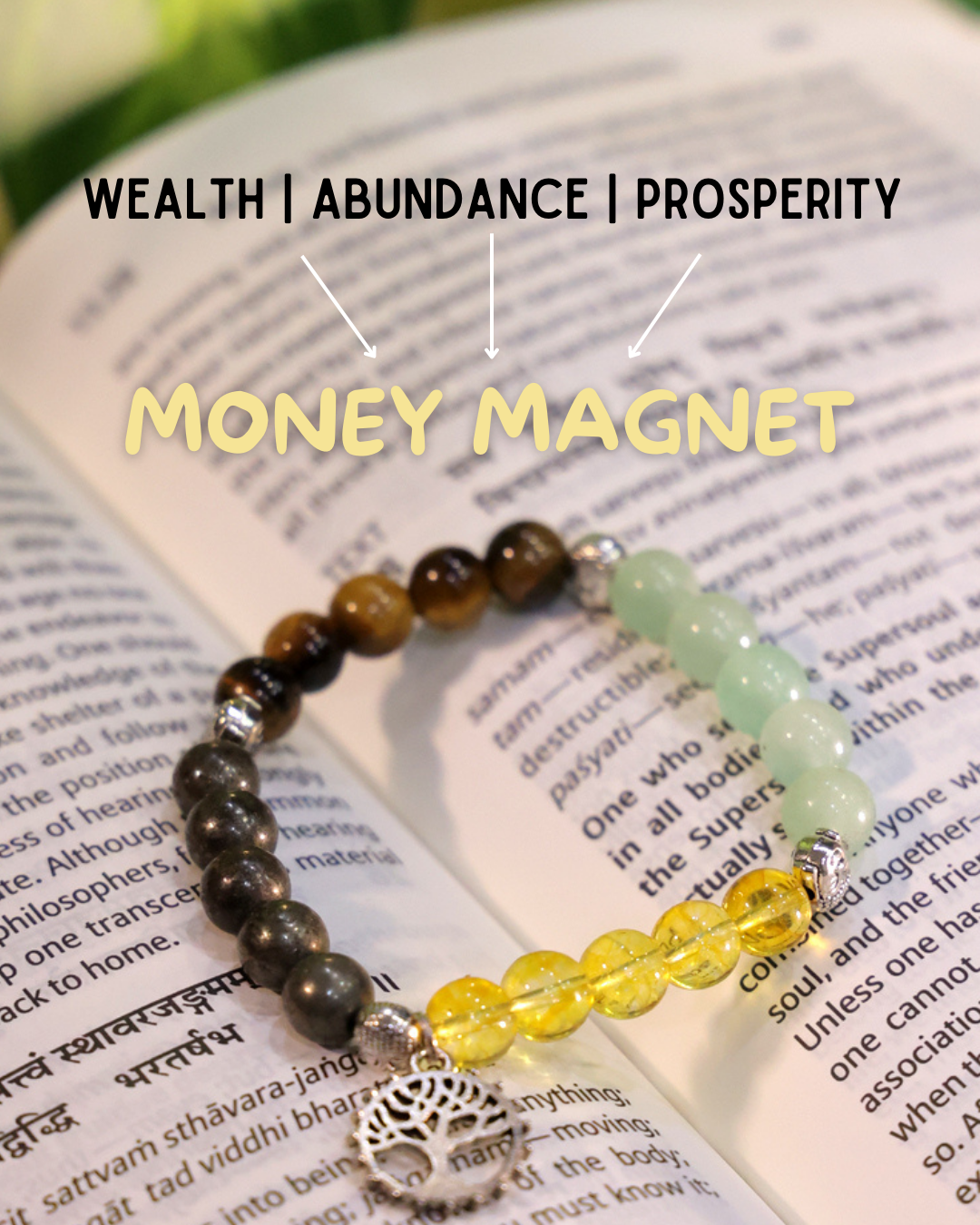 Money Magnet