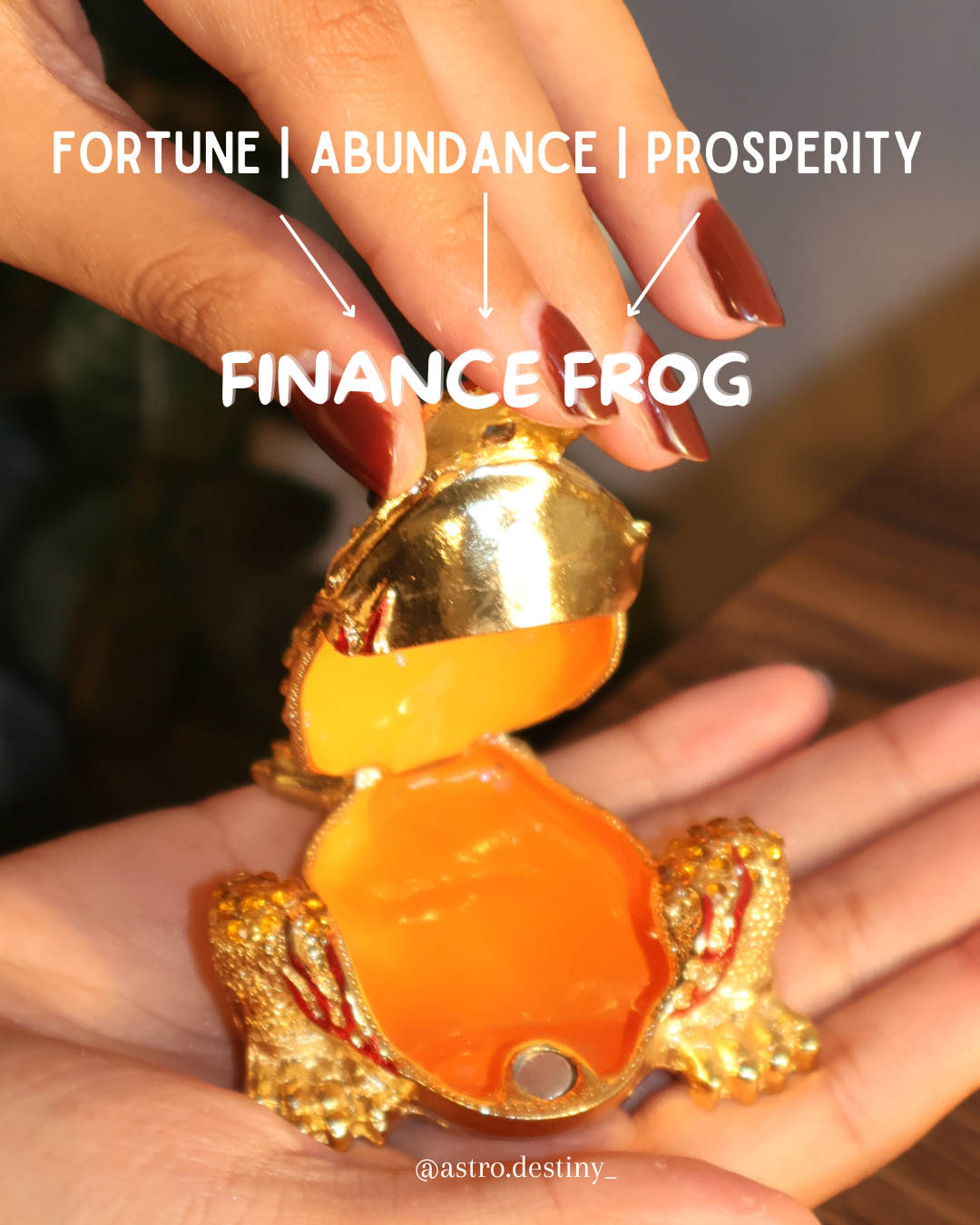 Golden Magnetite Wealth Frog