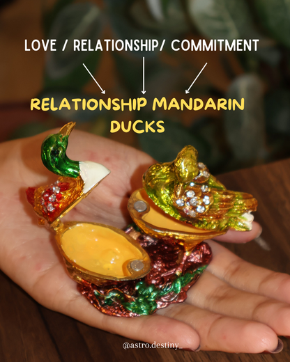 Relationship Mandarin Ducks