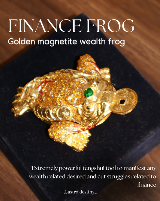 Golden Magnetite Wealth Frog