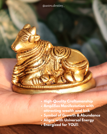 Brass Nandi Ji