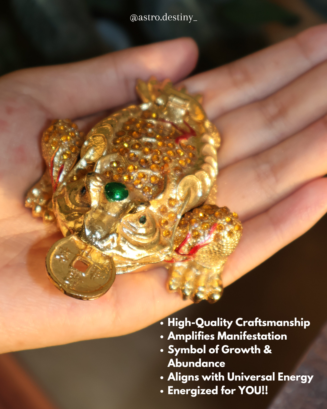 Golden Magnetite Wealth Frog