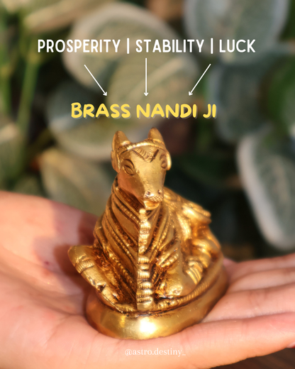 Brass Nandi Ji