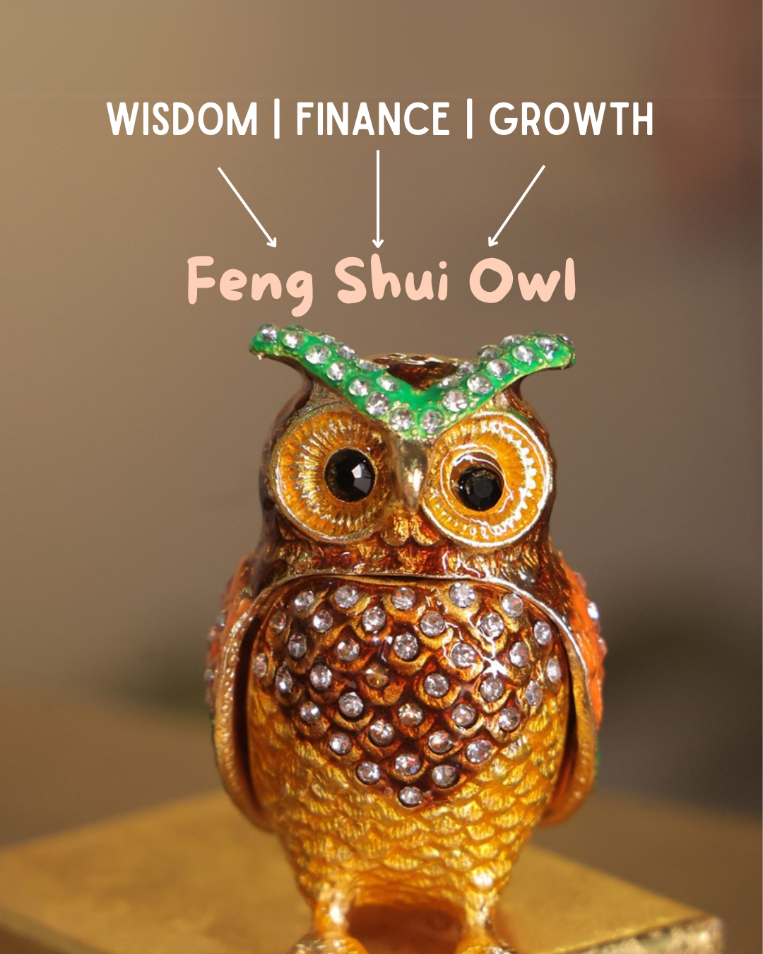 Feng Shui Owl for Good Luck, Wealth, and Prosperity
