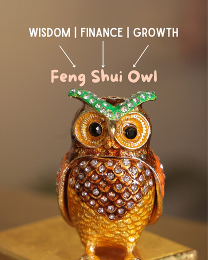 Feng Shui Owl for Good Luck, Wealth, and Prosperity