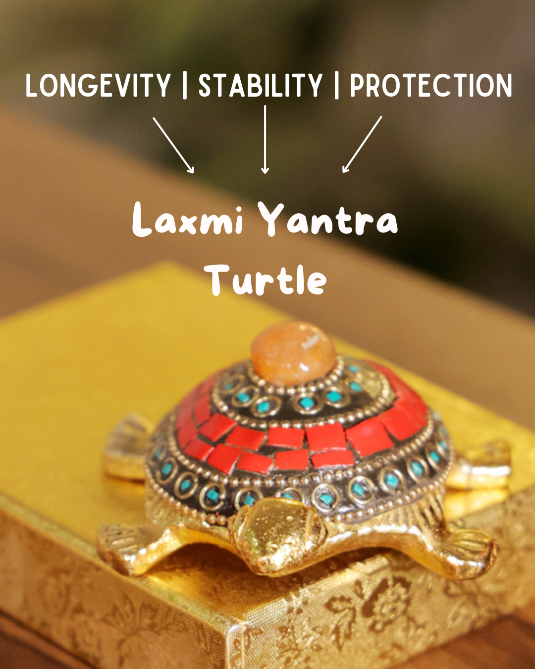 Lo-Shu Laxmi Yantra Turtle