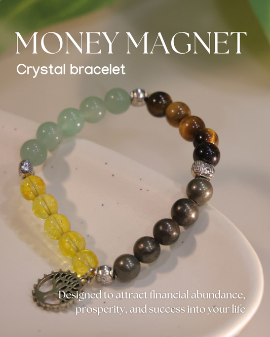 Money Magnet