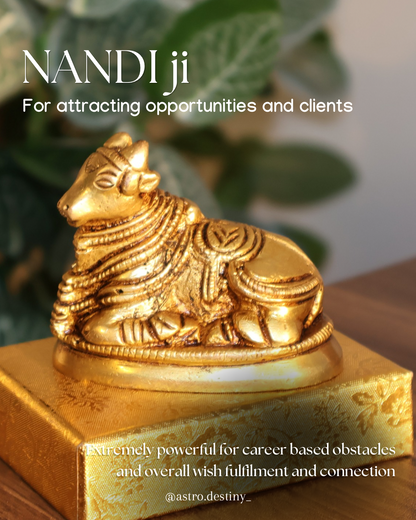 Brass Nandi Ji