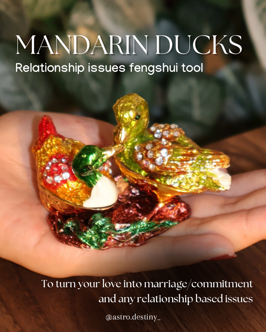 Relationship Mandarin Ducks